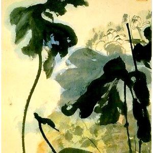 Meet your Posher, Gray